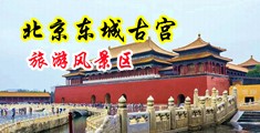 www.天天好逼.com中国北京-东城古宫旅游风景区